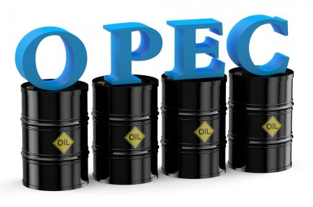 OPEC: Azərbaycanın 7 milyard barrel təsdiqlənmiş neft ehtiyatı var