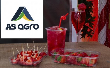 İçərişəhərdə, Bakı Yay Qida Festivalında "Aşk Çiyələyi", "AS Aqro" təqdim edir