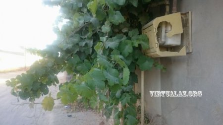 Binə qəsəbəsində sayğac vandalları