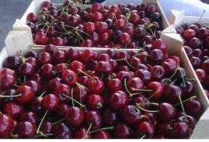 Rusiya 18 ton albalını Azərbaycana geri qaytardı