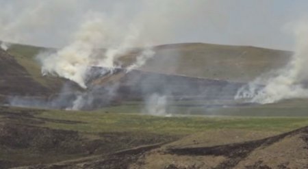Ermənilər Naxçıvanla sərhəddə öz taxıl sahələrini yanırırlar