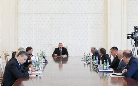 Dövlət Komissiyasının sədri Prezidentə hesabat verdi