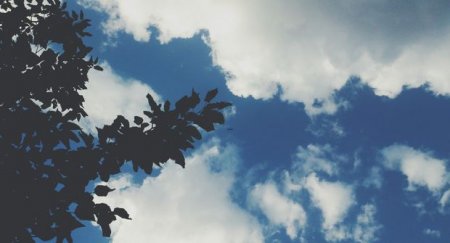 İlk iş gününə olan hava proqnozu açıqlandı