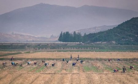 Şimali Koreyadan qaçan qadınlar: Mənim xalqımın beynini yuyurlar