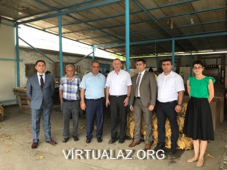 İsrail səfiri Qax və Zaqatalaya səfər edərək tütünçülüklə maraqlanıb