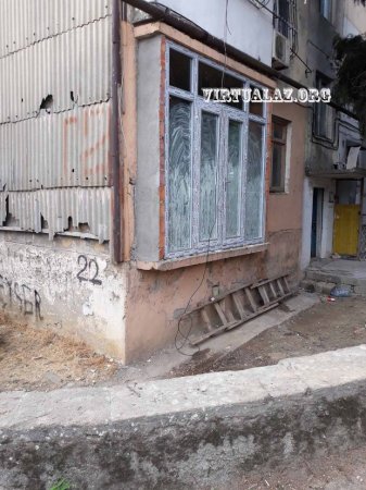 Bakıda yenə ağacları kəsdilər