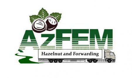 "AzFEM" şirkətinin TIR-ında aşkarlanan yarım ton heroinin sahibi kimdir...