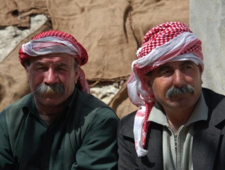 Yezidlər Ermənistanda öz dövlətlərini yaratmaq üçün mübarizəyə başlayırlar