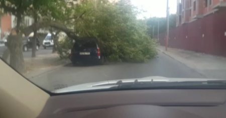 Bakıda güclü külək fəsadlar törədib