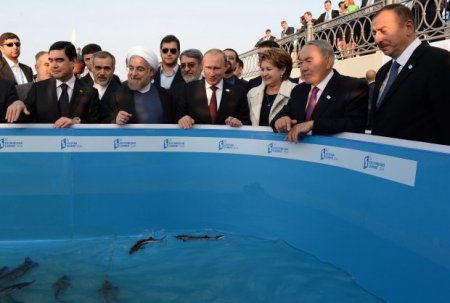 “Bizim hərbi donanma Xəzərin ümumi su səthində tam sərbəst üzəcək...”