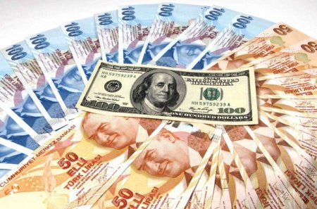 Dolların məzənnəsi 7,21 türk lirəsinə yüksəldi