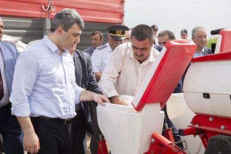 Taxıl yığımı pis getmir, kartofçuluqda vəziyyət isə…