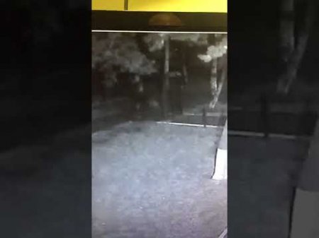 Lənkəranskinin daha bir adamı ortadan götürüldü: Vurulma anı