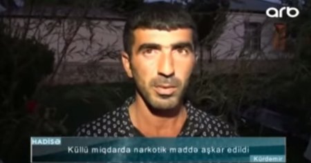 “Atıb başımın altına yavaş-yavaş çəkirdim” – Bağını narkotik sahəsinə çevirən şəxs danışdı