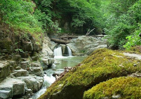 2 milyarder, onlarla milyonçu yetişdirən Azərbaycan rayonu