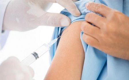 İnsan siçovul hepatitinə yoluxdu