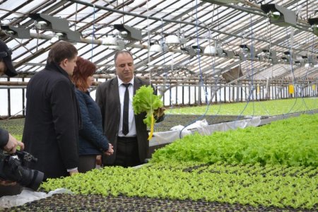 Biznesmen Allahverdi Quliyevə 2 milyon rüşvətə görə 4 il həbs