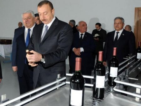 Prezident şərabçılıq sahəsindəki vəziyyət haqda