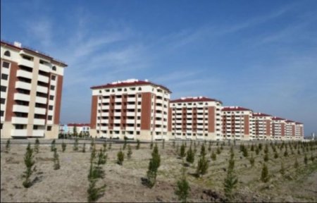 “Bunu edənlərin vicdanı, imanı yoxdur…”