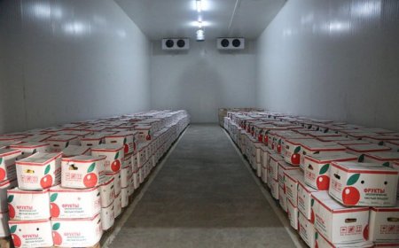 Zakir Həsənov Hərbi Baytarlıq Laboratoriyasının açılışında