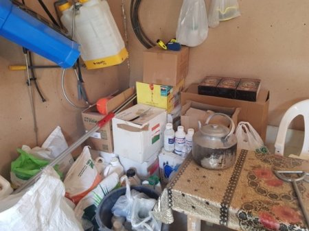 Fərhad Əhmədov kələkbaz italyanları küncə sıxışdırır