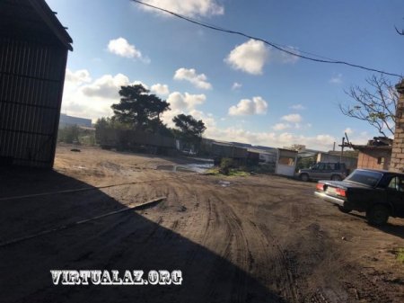 Bakıda “xunveybinlər” yenə fəallaşdı, şəhərə tonlarla zəhər buraxmağa başladı