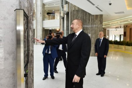 “Təşəkkür edirəm, cənab Prezident! Hava limanına enən kimi mənə ASAN viza verildi...”