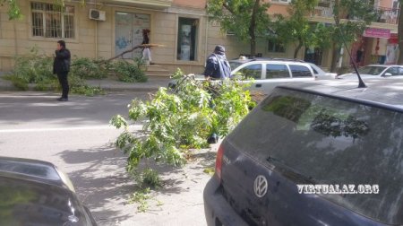 Bakıda əsən güclü külək fəsadlara səbəb olub