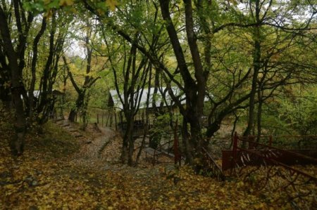 Göygöldə polisə müqavimət göstərmiş iki nəfər zərərsizləşdirildi
