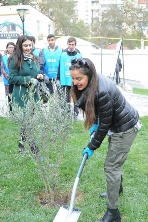 Leyla Əliyeva “Bizim həyət” layihəsi çərçivəsində növbəti tədbirlərdə iştirak edib