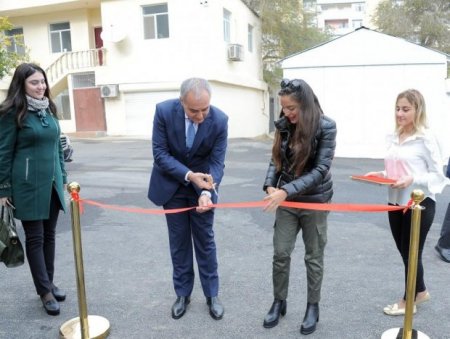 Leyla Əliyeva “Bizim həyət” layihəsi çərçivəsində növbəti tədbirlərdə iştirak edib