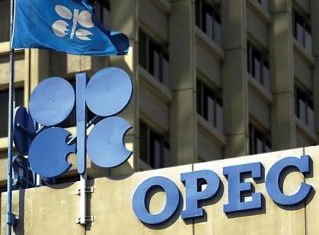 OPEC Azərbaycan üzrə proqnozunu açıqladı