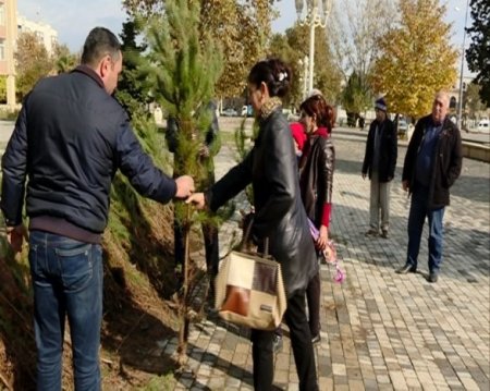 Azərbaycanda kütləvi aksiya: on minlərlə ağac əkildi