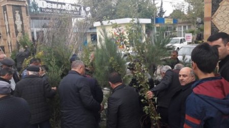 Azərbaycanda kütləvi aksiya: on minlərlə ağac əkildi
