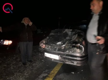 Quba-Xaçmaz yolunda QAZ-3110 at sürüsünə çırpıldı