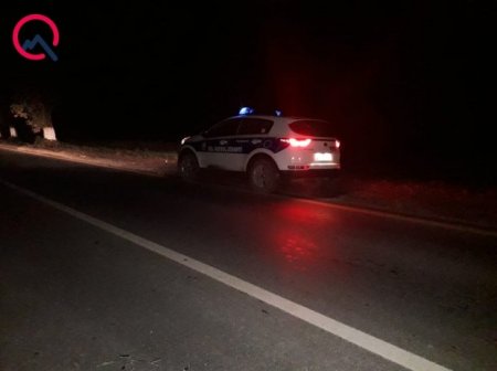 Quba-Xaçmaz yolunda QAZ-3110 at sürüsünə çırpıldı
