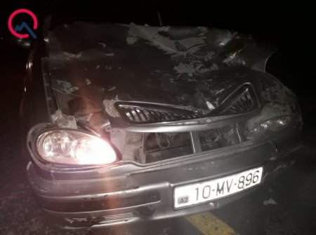Quba-Xaçmaz yolunda QAZ-3110 at sürüsünə çırpıldı