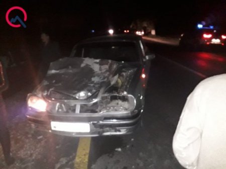 Quba-Xaçmaz yolunda QAZ-3110 at sürüsünə çırpıldı