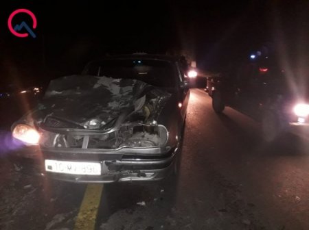 Quba-Xaçmaz yolunda QAZ-3110 at sürüsünə çırpıldı
