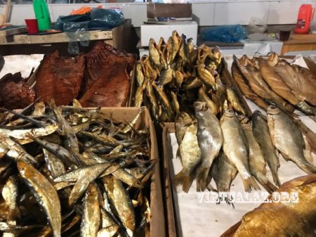 Bakıda təkər yandırıb hisində balıq qurudanlar peyda olub