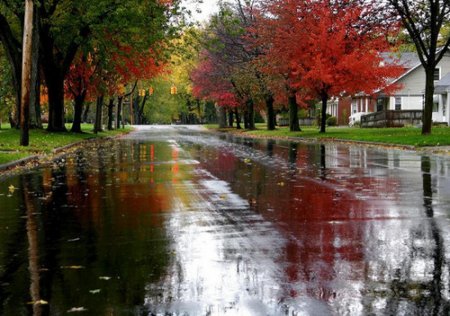 Sabah Bakıda çiskinli yağış yağacaq