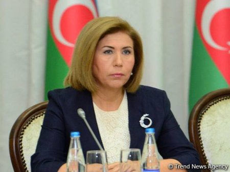 Milli Məclisin vitse-spikeri: “Azərbaycanda siyasi fəaliyyətinə görə heç kim təqib olunmur”