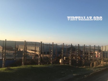 “Biz xırda məmurlarıq, heç cürət edib onlardan soruşa bilmərəm ki...”