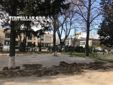Bakının Atatürk parkında: Eldar Əzizov tapşırdı, “it damına” oxşayanlar söküldü...