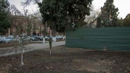 Gəncədə “şah” peyda olub, “Xəmsə bağı”nı öz sarayına qatmaq istəyir