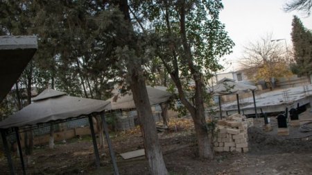 Gəncədə “şah” peyda olub, “Xəmsə bağı”nı öz sarayına qatmaq istəyir