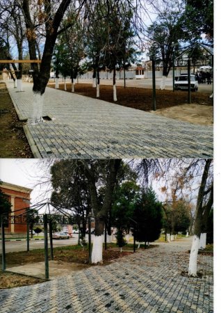Gəncənin İcra Hakimiyyəti: ""Şah bağı" barədə müraciətə baxıldı, müəyyən olundu ki..."