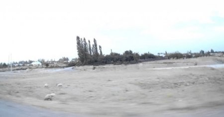  Daha bir gəlin ərinin əmisi oğlu ilə "işləri korladı", günahkarı tutub soyundurdular və...