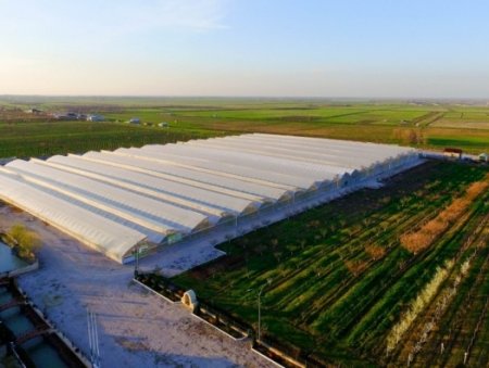 Azərbaycanlı investorlar Dağıstana on milyonlarla vəsait yatırırlar