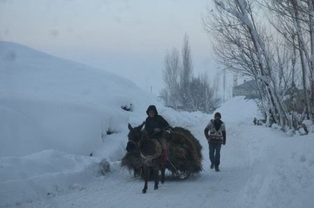  Türkiyəyə üç metr qar yağdı